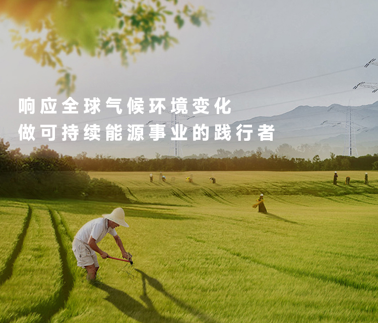 凱泰電子提供第三代半導(dǎo)體碳化硅、氮化鎵功率器件